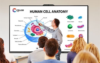 Model_336-x-214-IMAGO EDU
