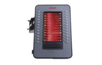 Model_Avaya-J100-Expansion